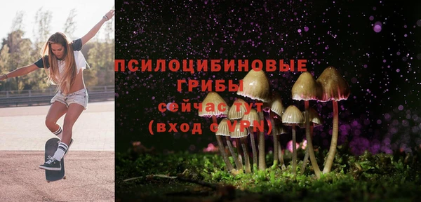 кокс Надым